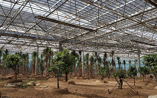 热带植物园燃气辐射采暖案例