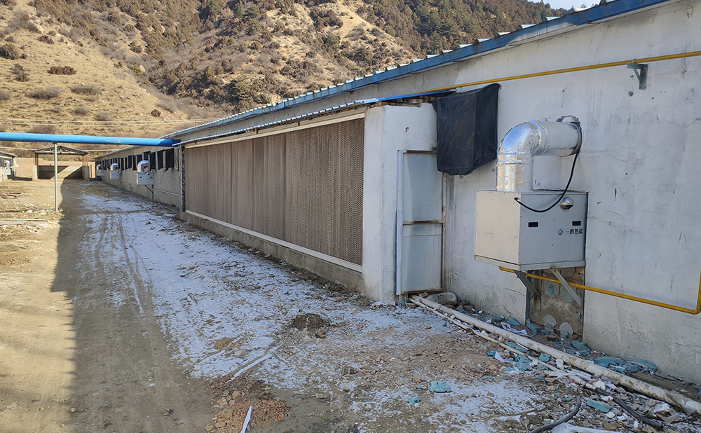 山西吕梁养鸡场燃气取暖器案例