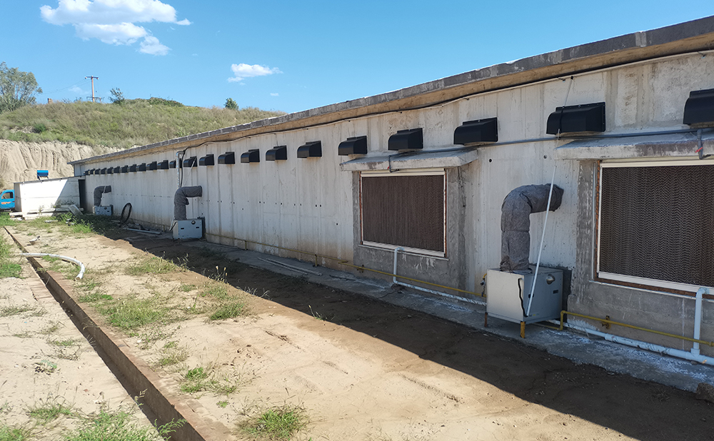 山西吕梁养鸡场燃气热风机案例