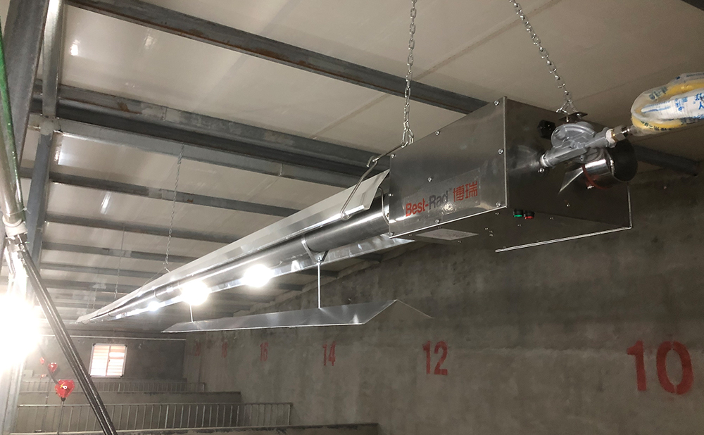 陕西温氏家庭农场燃气辐射采暖案例