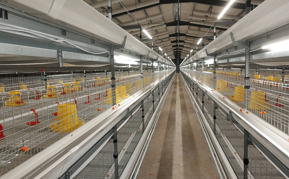 笼养鸡/鸭舍燃气暖风机