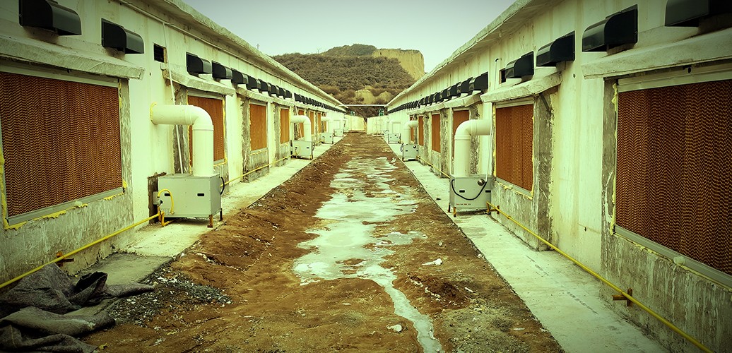 直燃式燃气暖风机